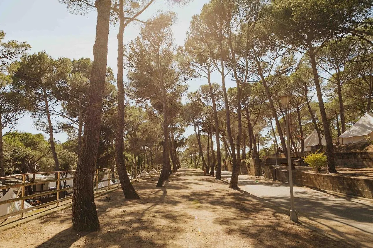 Camping Santa Elena Льорет-де-Мар